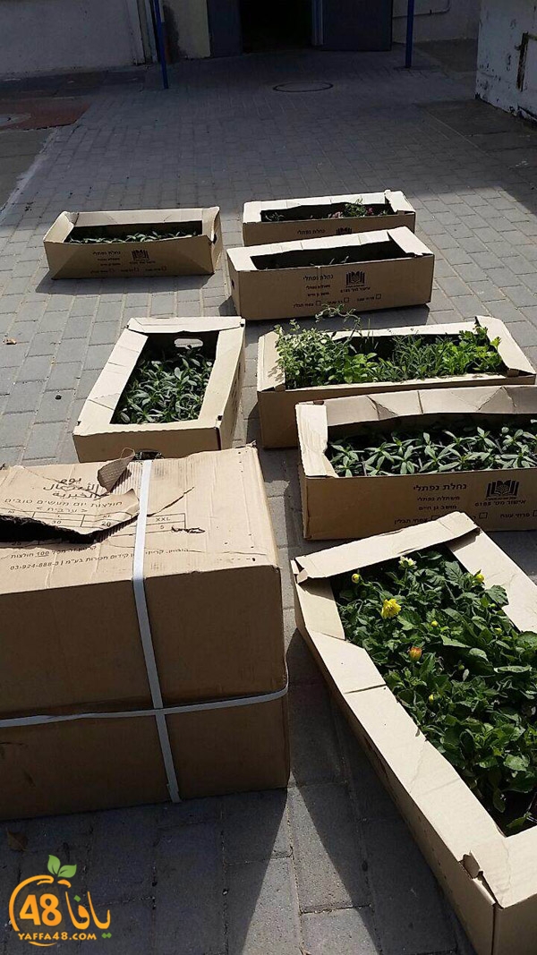 a3mal tayeba 7san3arafa (23).JPG